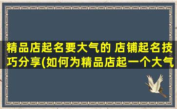 精品店起名要大气的 店铺起名技巧分享(如何为精品店起一个大气的名字？分享店铺起名技巧和SEO优化建议)